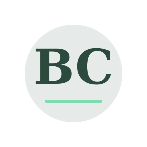 Bramwell Chimney Cleaning logo